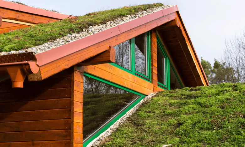 dach zielony, powierzchnia dachu, otoczeniu budynku